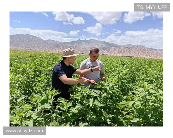 九台农商银行助力乡村振兴战略打造金融新引擎推动区域经济高质量发展